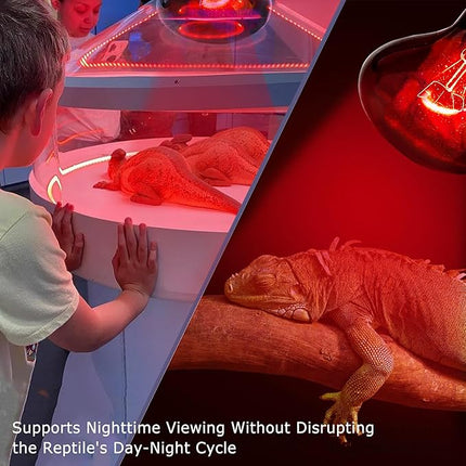 60W Infrared Red Heat Lamp for Reptiles, Basking Spot Bulb for Pet Lizards, Bearded Dragons, Chameleons & Snakes, Red Heat Emitter Light for Chickens Coop and Brooder Use, E26|2 Pack