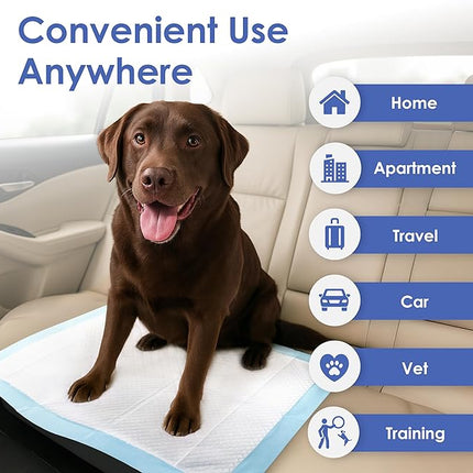 American Kennel Club Scented Puppy Training Pads with Ultra Absorbent Quick Dry Gel – 28 x 30 Pee Pads for Dogs - Fresh Scented - 50 Count, XL