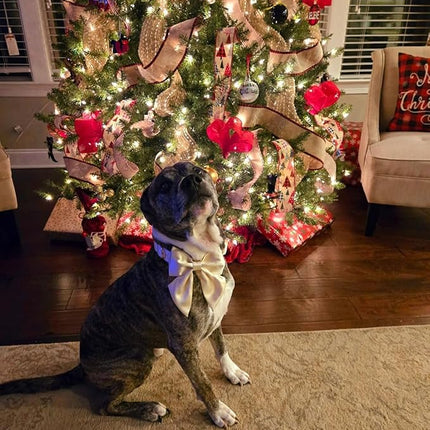 Lionet Paws Bowtie Dog Collar - Comfortable Silk Dog Collar with Detachable Bow Tie for Medium Dogs, Neck 13.5-22 Inches