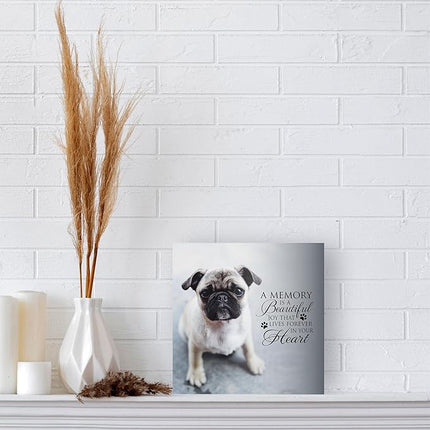 LifeSong Milestones Wooden Shadow Box Cremation Urn for Pet Ashes| Urns for Ashes of Deceased Pet Dog Cat| Sympathy Keepsake 10x10