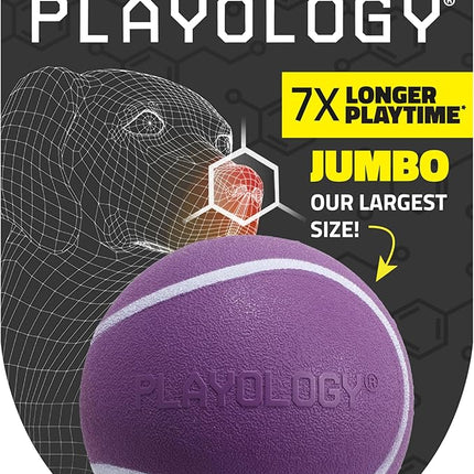 Playology Dog Toys | Squeaky Chew Ball - Bouncy Durable Floating Fetch Ball for Dogs | Jumbo Bacon Scented Toy - Easy to Clean and Made from Non Toxic Materials