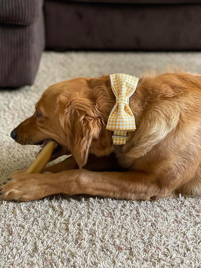 Lionet Paws Dog Collar with Bowtie, Durable Adjustable and Comfortable Collar for X-Small Dogs and Cats, Neck 8-12in