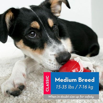 KONG Classic Toy & Enhanced Ziggies Treats Combo Pack - Durable Chew Toy for Dogs - with Enhanced Ziggies Treats - Dog Accessories for Fun & Health - for Medium Dogs