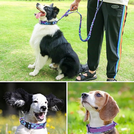 Hotsky Tactical Dog Collar and Leash Set, Heavy Duty Military Airtag Dog Collar with Handle and Metal Buckle for Training and Walking, with Airtag Holder and Two Patches (Purple Camo, M)