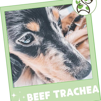 Nature Gnaws Beef Trachea Chews for Dogs 3" (12 Count) - Long Lasting Natural Crunchy Dog Chew Bones - Rawhide Free