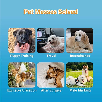 All-Absorb Male Dog Wrap, Large | 50 Count | Pack of 2