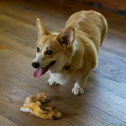 SPOT Skinneeez Flying Squirrel 14 Inch Stuffing-Free Plush Squeaky Dog Toy – Soft Tug-of-War Toy for Small and Medium Dogs – Mess-Free Interactive Chew Toy for Moderate Chewers