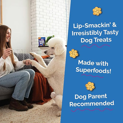 Fruitables Baked Dog Treats, Healthy Pumpkin Treat for Dogs, Low Calorie & Delicious, No Wheat, Corn or Soy, Made in the USA, Pumpkin and Blueberry Flavor, 12oz