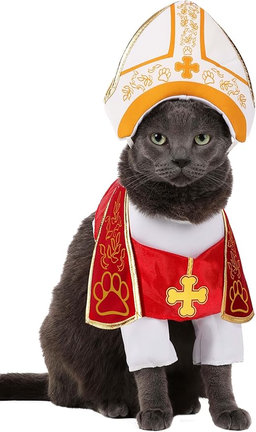 Holy Hound Pet Costume X-Small
