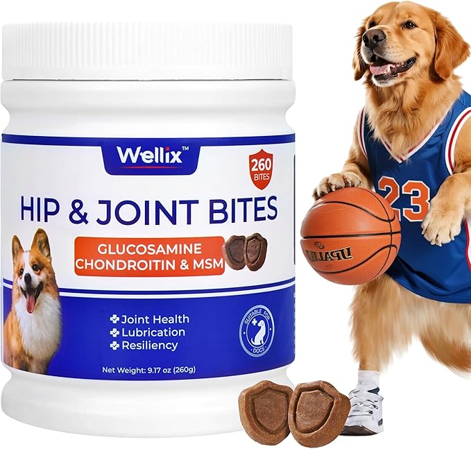 260 Bites Wellix Dog Hip and Joint Supplement Arthritis Pain Relief with Glucosamine Chondroitin MSM Functional Ingredients Joint Care Chews for Senior Dogs Antioxidant Supplements