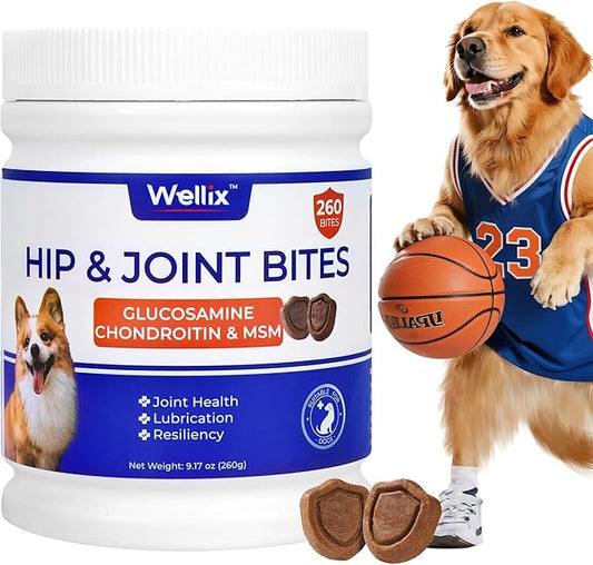 260 Bites Wellix Dog Hip and Joint Supplement Arthritis Pain Relief with Glucosamine Chondroitin MSM Functional Ingredients Joint Care Chews for Senior Dogs Antioxidant Supplements