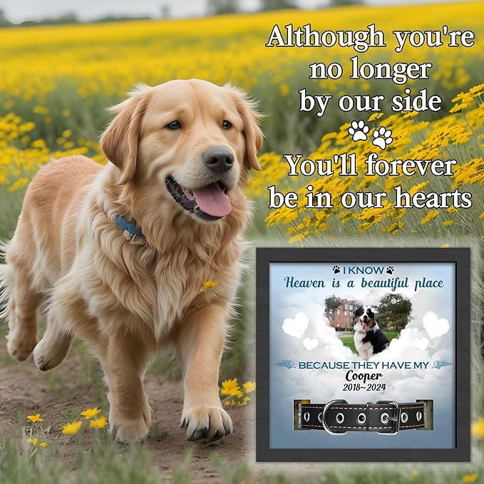 Custom Dog Memorial Collar Frame, Pet Sympathy Gifts for Dogs, Dog Memorial Gifts for Loss of Dog, Pet Memorial Gifts for Dogs, Dog Memorial Pet Collar Frame, Pet Memorial Gifts for Cats