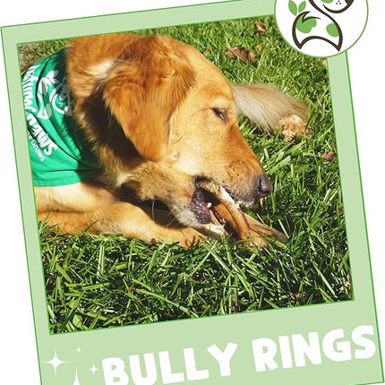 Nature Gnaws Bully Stick Rings for Dogs (5 Count) - Long Lasting for Aggressive Chewers - Natural Beef Dog Chew Bones - Rawhide Free