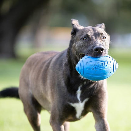 Nerf Dog Ridged Football Dog Toy with Interactive Squeaker, Lightweight, Durable and Water Resistant, 7 Inch Diameter for Medium/Large Breeds, Single Unit, Blue