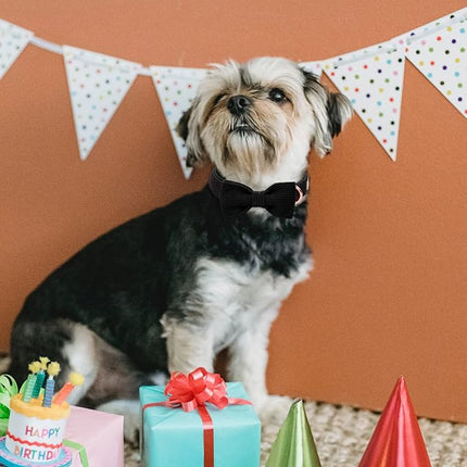 Black Dog Collars for Small Dog,Cute Corduroy Dog Collar with Bow Tie Safety Metal Buckle Adjustable Puppy Collars for Small Medium Large Boy&Girl Dogs