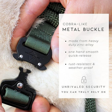 Made to ROAM Premium Explorer Control Collar - Adjustable Heavy Duty Nylon Dog Collar with Quick-Release Metal Buckle and Handle (Florida Seaside, Control Size 5)