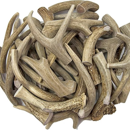 Antler Man Premium Deer Antler Pieces - Dog Chews - Sold by The Pound