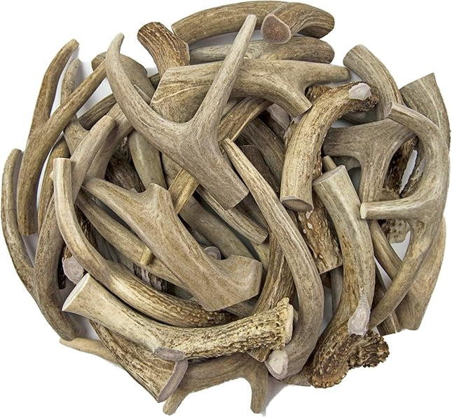 Antler Man Premium Deer Antler Pieces - Dog Chews - Sold by The Pound
