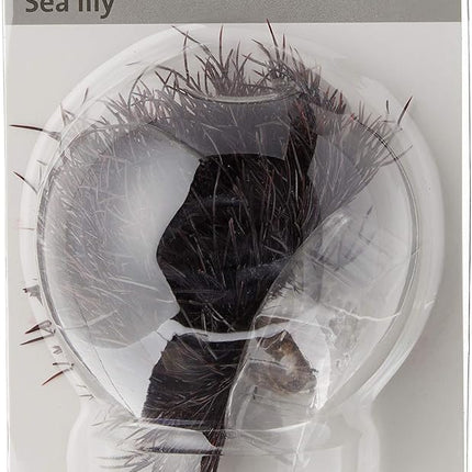 biOrb Sea Lily Crimson (Pack of 2)