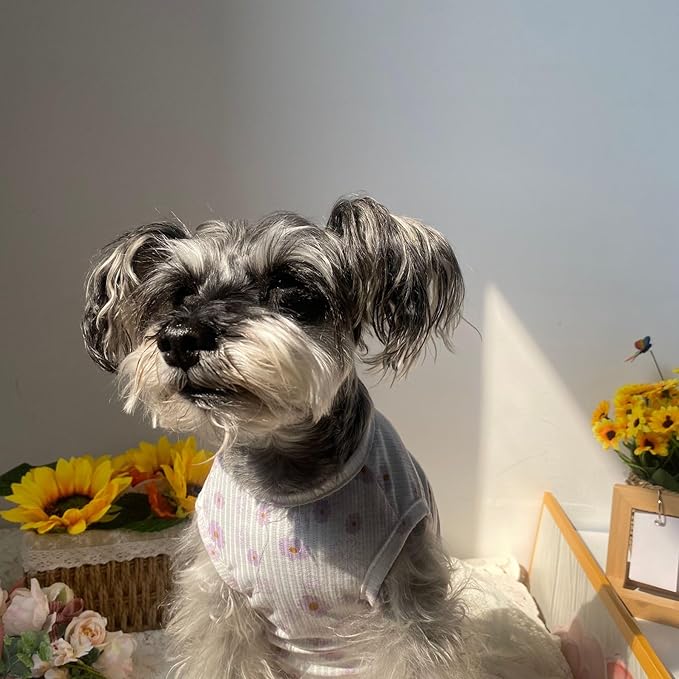 2PCS Summer Dog Cotton T Shirt Pet Tee Shirts Puppy Daisy Flower Prints Clothes Apparel for Small Dogs Cats