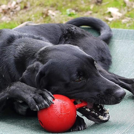 Jolly Pets Tug-n-Toss Heavy Duty Dog Toy Ball with Handle, 4 Inches/Petite, Red