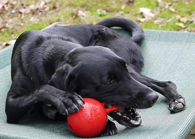 Jolly Pets Tug-n-Toss Heavy Duty Dog Toy Ball with Handle, 4 Inches/Petite, Red