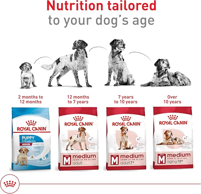 Royal Canin Size Health Nutrition Medium Adult Dry Dog Food, 17 lb Bag