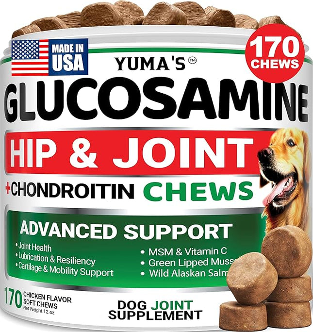 Glucosamine for Dogs - Hip and Joint Supplement for Dogs - 170 Ct - Glucosamine Chondroitin Chews - Joint Pain Relief Supplement with MSM - Advanced Health - Mobility Support - Made in USA