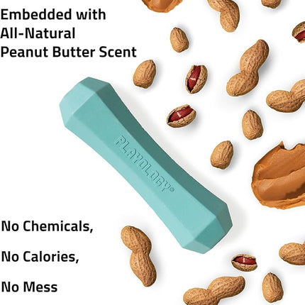 Playology Dog Toys | Durable Squeaky Chew Stick for Dogs (Value 2-Pack) | Medium Peanut Butter Scented Toy - Easy to Clean and Made from Non Toxic Materials