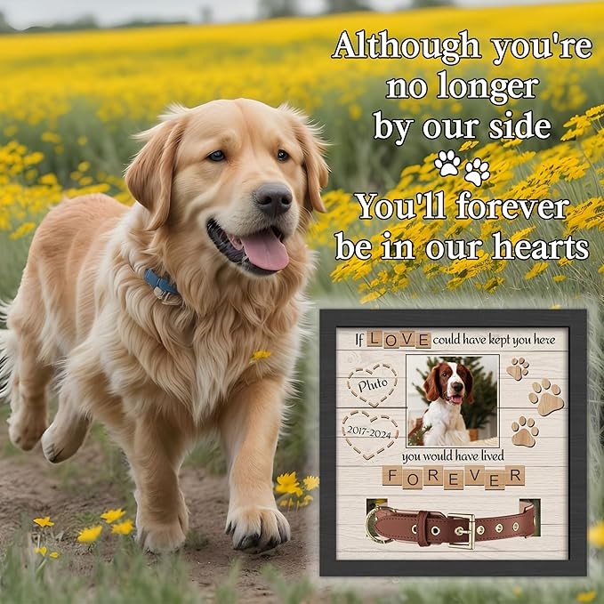 Pet Memorial Gifts for Dogs, Dog Memorial Gifts for Loss of Dog, Dog Memorial Collar Frame, Cat Loss Sympathy Gifts, Custom Pet Memorial Plaque, Cat Memorial Gifts, Memorial Gifts for Pet Lover