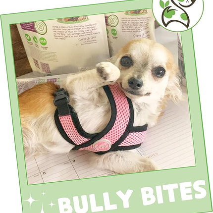 Nature Gnaws Bully Stick Bites for Small Dogs 2-4" (8oz) - Long Lasting for Light Chewers and Puppies - Natural Beef Dog Chew Treats - Rawhide Free