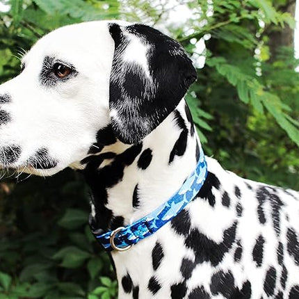 Limeloot Sharks Dog Collar, Summer Themed Dog Collar for Male and Female Dogs, Small