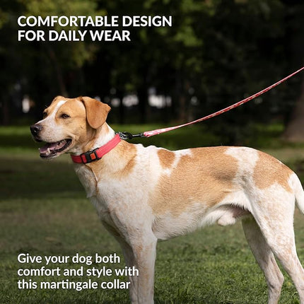 CollarDirect Martingale Dog Collar with Stainless Steel Chain and Quick Release Buckle - Reflective Collar for Large, Medium, Small Dogs - Red, Small (Neck Size 12"-15")