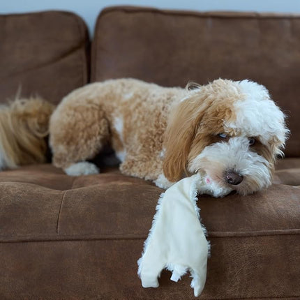 SPOT Skinneeez Crinklers Lamb - Stuffing-Free Dog Toy with Crinkle & Squeaker Sounds, Durable for Moderate Chewers, Tug Toy for Small Dogs & Puppies, 14in