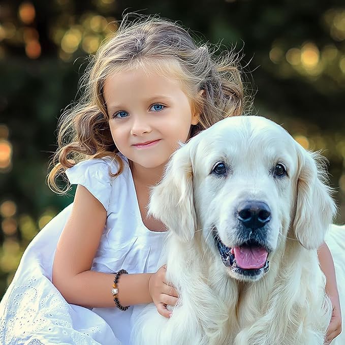 Dog Memorial Gifts - Pet Loss Sympathy Gift, Dog Passing Away Remembrance Bracelet for Men & Women