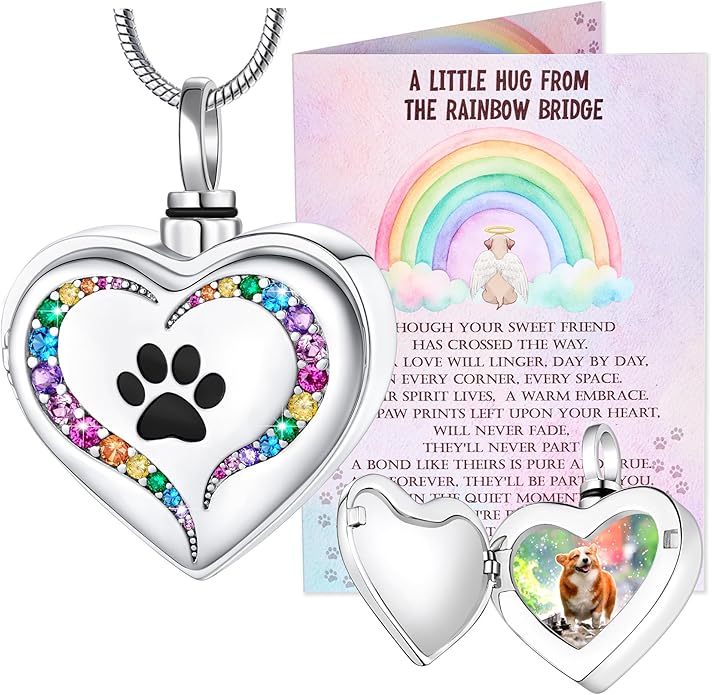 Farfume Personalized Pet Urn Necklace for Dog Cat Ashes Cremation Pet Memorial Customized Photo Text Engraving Pendant Keepsake Funeral Jewelry