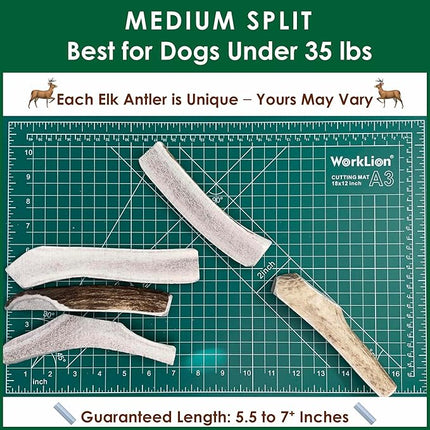 Elk Antler Dog Chews | Long-Lasting A-Grade Premium Elk Antler Chews for Dogs from Naturally Shed Elk Antlers Collected in The USA, Split, Medium (Pack of 4)