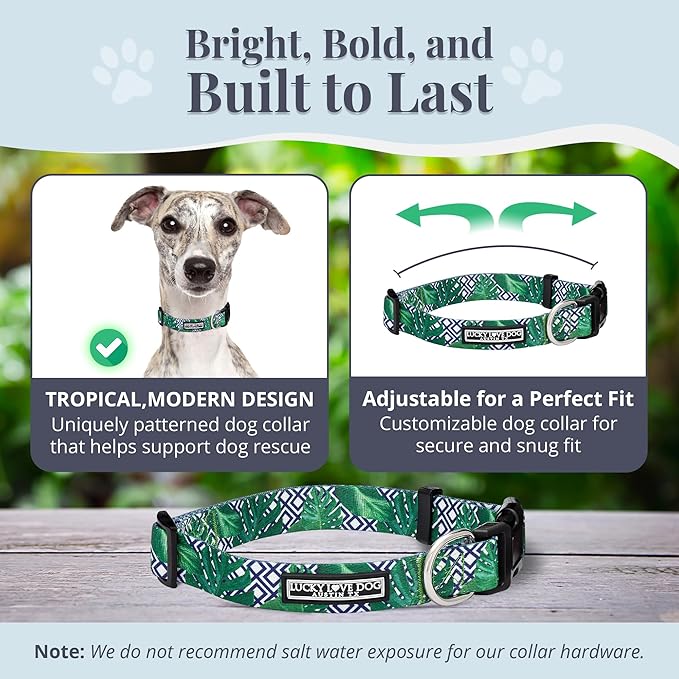 Lucky Love Dog Collar, Beautiful & Vivid Pattern Medium Boy Dog Collars, Easy On & Off Clasp Accessory (Blue Laguna, M)