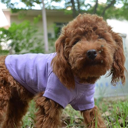 Lovelonglong 2019 Pet Clothing Dog Costumes Basic Blank T-Shirt Tee Shirts for Small Dogs Violet M