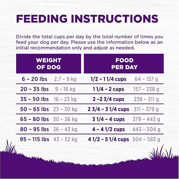 Wellness Complete Health Dry Dog Food, Grain Free, Natural, Chicken Recipe, (22-Pound Bag)