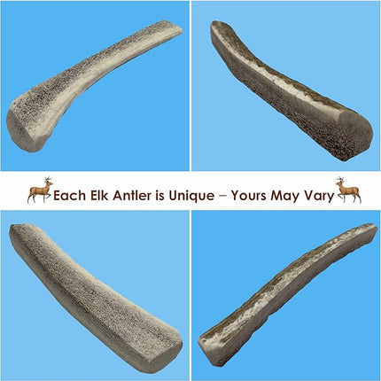 6-Pack Small Split Elk Antler Dog Chews (5 to 6.5+ in) – All Natural, Premium Grade A, Odor-Free, USA-Sourced – Long-Lasting Dental Treats for Toy and Small Dogs Under 15 lbs
