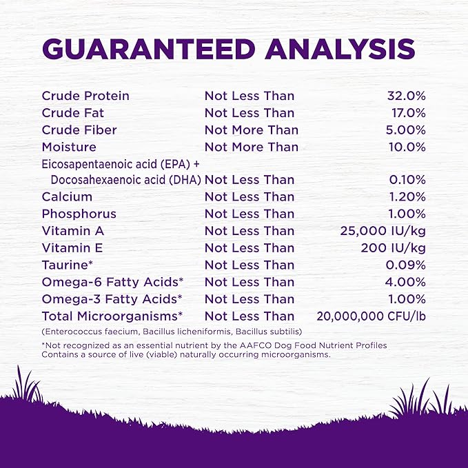 Wellness Complete Health Puppy Dry Dog Food, Grain Free, Natural, Chicken & Salmon Recipe, (24-Pound Bag)