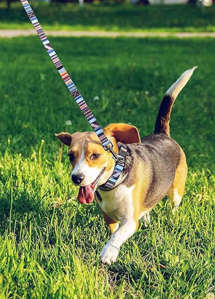 Roses&Poetry Dog Collar with Colourful Stripe Patterns, Adjustable Durable Puppy Collars for Small Medium Large Dogs (Stripe-L)