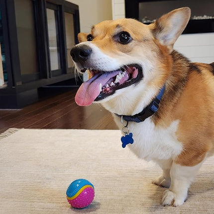 SPOT Sensory Ball for Soft Chewers - Stimulates All 5 Senses, Bell & Squeaker Sounds, Raised Nubs Clean Teeth, High Contrast Fetch Toy, Beef Scented, Durable TPR Rubber Ball, 2.5-inch