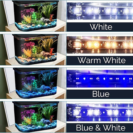 Koller Products 5-Gallon Aquarium Kit with LED Lighting and Power Filter, Ideal for a Variety of Tropical Fish