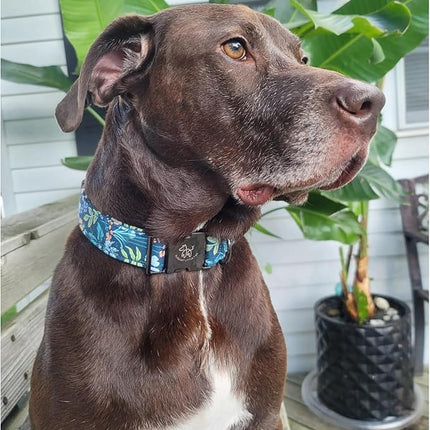 Elegant little tail Dog Collar, Floral Pet Collar Durable Darkblue Flower Dog Collars Male or Female Holiday Pet Gift Adjustable Dog Collar for X-Small Dogs