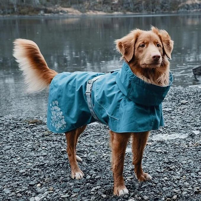 Hurtta Monsoon Coat, Dog Raincoat, Bilberry, 18 in