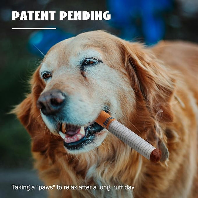 Nocciola Funny Dog Toys for Small Meidum Dogs, Squeaky Entertainment Stuffed Toys for Boredom, Anxiety Relief, Mentally Stimulating, Plush Dog Toys to Keep Busy and Occupied