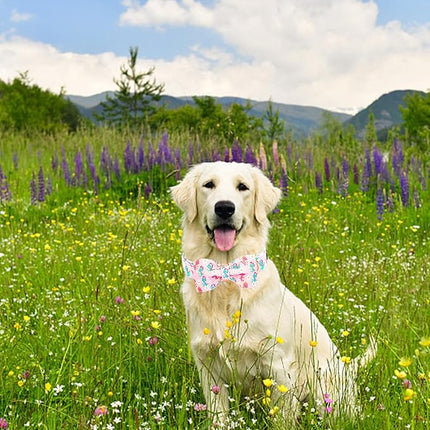 Lionheart glory Dog Bow Collar Dinosaurs Pattern Cute Collars for Small Dogs,Soft Duty Adjustable Dog Collar with Bowtie Spring Summer Puppy Collars Bows Pet Gift