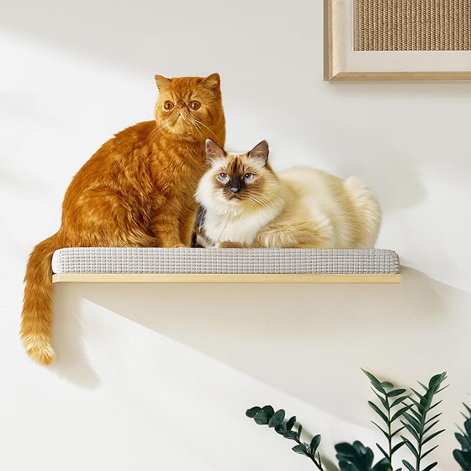 Extra Large 23.6”x12.6” CALLICO HAVEN- Stylish Cat Wall Shelves with Cushion, Modern Wall-Mounted Cat Tree Furniture, Window Cat Shelf & Perch, Sturdy/Hidden Mounts, Washable Cover - Flat Shape